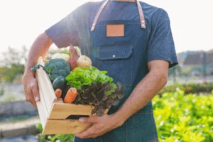 Alimentação orgânica: uma escolha para um estilo de vida saudável