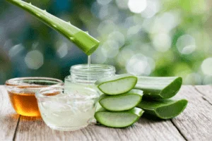 Aloe Vera para a Saúde: Benefícios e Como Usar