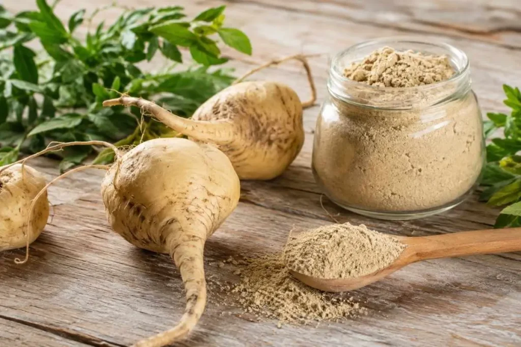 Raiz e pó de maca peruana em superfície de madeira rústica com folhas verdes ao fundo